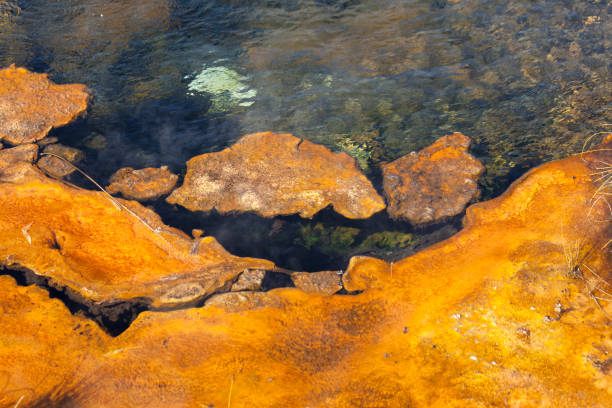 istock Yellowstone National Park 1193176423