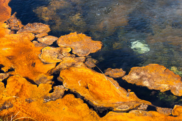 istock Yellowstone National Park 1193176479