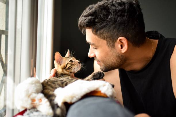 Kitten bengal cat pet looking at a mixed race man A bengal baby cat just got adopted by a métis man. The pet is getting to know its master. Complicity and affection in a warm home. puerto rican ethnicity stock pictures, royalty-free photos & images