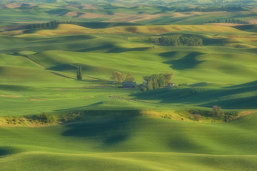 View from Steptoe Butte State Park, Washington