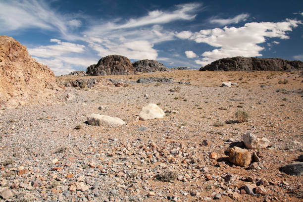 Beautiful view of steppe in mongolia