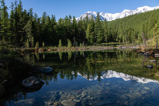 istock altai mountain lake forest glacier snow 1193196941