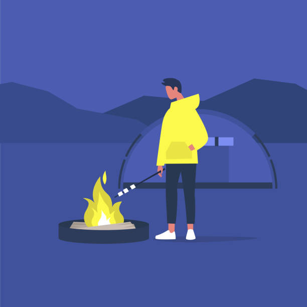 hiking in forest, young male tourist roasting marshmallows on a campfire, hiking in forest, young male tourist roasting marshmallows on a campfire, hiking snack stock illustrations