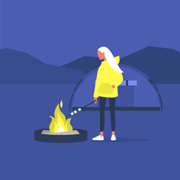 hiking in forest, young female tourist roasting marshmallows on a campfire, hiking in forest, young female tourist roasting marshmallows on a campfire, hiking snack stock illustrations