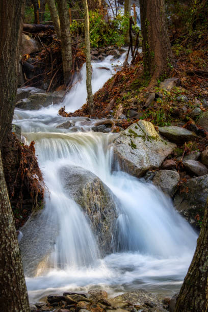 abounding mountain stream in spanish mountain montseny - abounding imagens e fotografias de stock