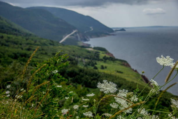Scenic Route Along Cabot Trail Cape Breton Nova Scotia Canada