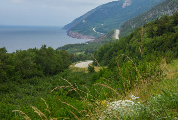 istock Cabot Trail Cape Breton Nova Scotia Canada 1193202664