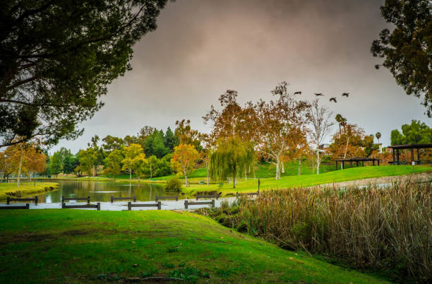 istock Birds of Late autumn. 1193203673