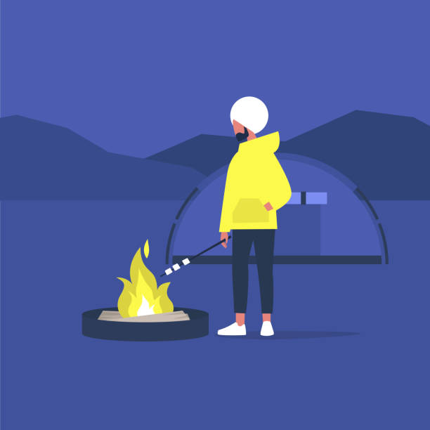 hiking in forest, young indian male tourist roasting marshmallows on a campfire, hiking in forest, young indian male tourist roasting marshmallows on a campfire, hiking snack stock illustrations