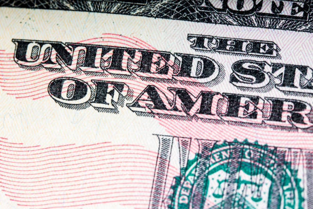 istock Fifty American dollars macro close-up 2 1193211720