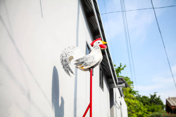 Realistic white chicken rooster wind vane on a red stick
