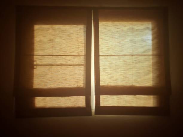 istock The double golden roman blinds 1193212880