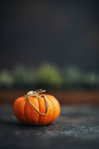 istock Thanksgiving or Halloween still life background with single pumpkin 1193220147