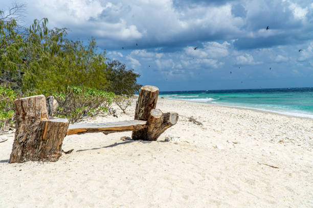 istock Lady Elliot Island shoreline Great Barrier Reef, Australia 1193226954