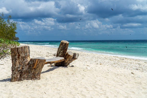 istock Lady Elliot Island shoreline Great Barrier Reef, Australia 1193226956
