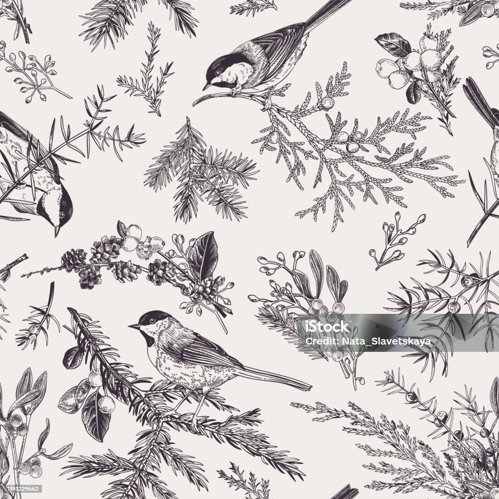 Vintage seamless pattern with birds. Vintage seamless pattern with birds and winter plants. Winter background. Vector botanical illustration. Black and white. Bird stock vector