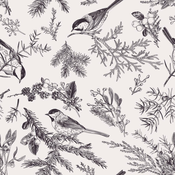 Vintage seamless pattern with birds. Vintage seamless pattern with birds and winter plants. Winter background. Vector botanical illustration. Black and white. bird nature animal backgrounds stock illustrations