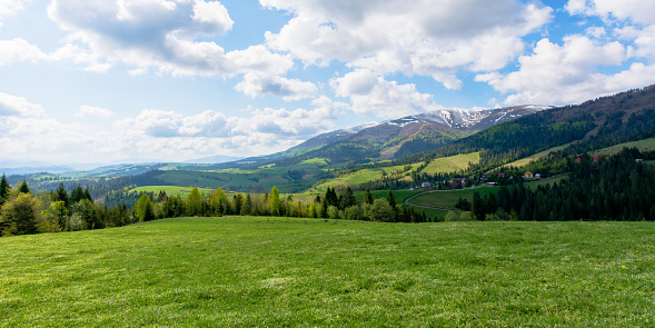 mountainous countryside landscape in spring. grassy meadow on top of a hill. mountain ridge with snow capped tops in the distance. sunny weather with clouds on the blue sky