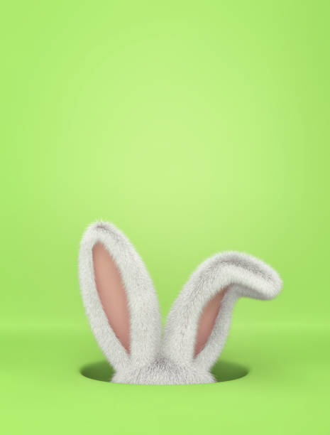 Rabbit in hole on green background. Easter greeting card with copy space Rabbit in hole on green background. Easter greeting card with copy space. 3D rendering hole cards stock pictures, royalty-free photos & images