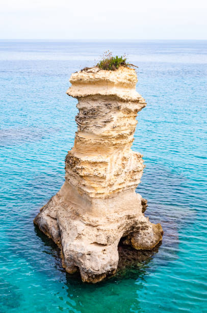 istock Sea stack. Torre Sant Andrea beach with its soft calcareous rocks and cliffs, small coves and the jagged coast landscape. Crystal clear water shape white stone create natural stacks. Melendugno Italy 1193239668
