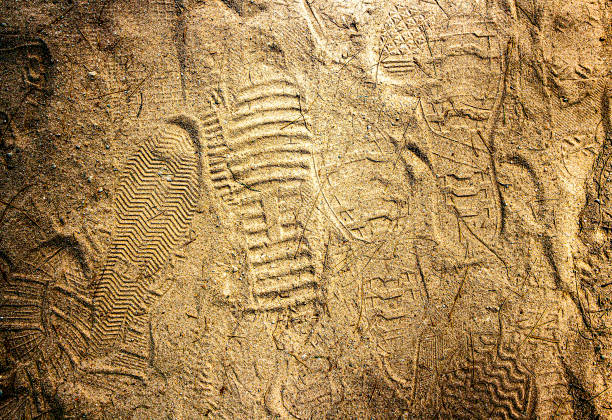 istock There are traces of various soles on the beach. 1193241405