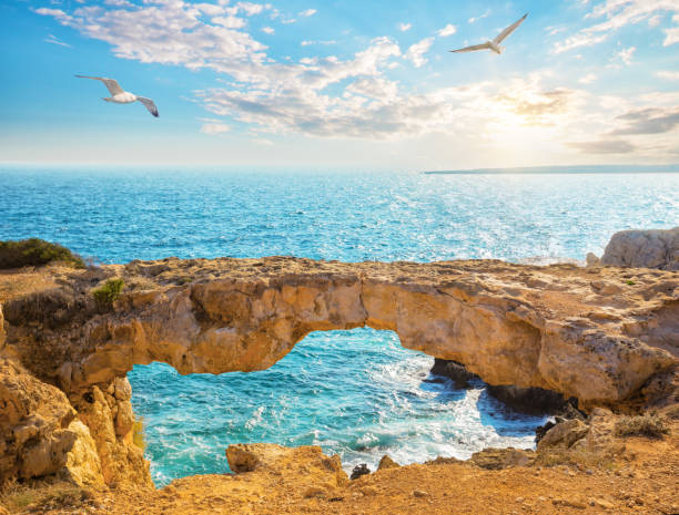 Island Cyprus, the rock of love, a sunny day. High quality photo