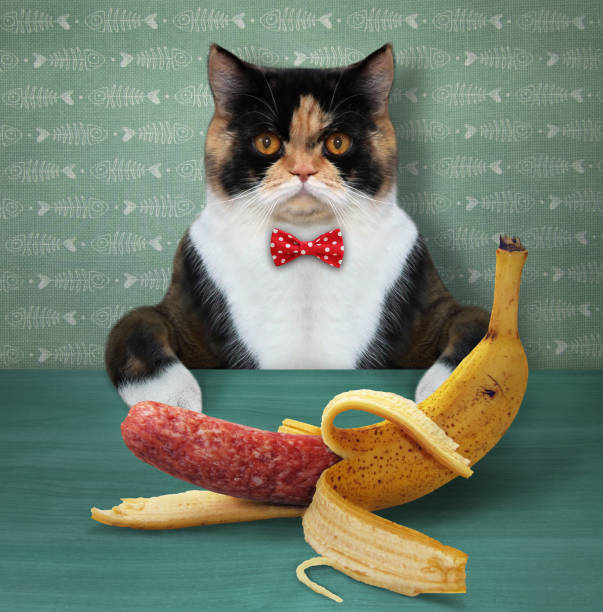 istock Cat eating sausage in banana peel 1193242670