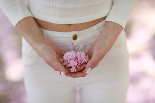 Woman's hands close up. The girl holds the petals of pink flowers in her hands.
