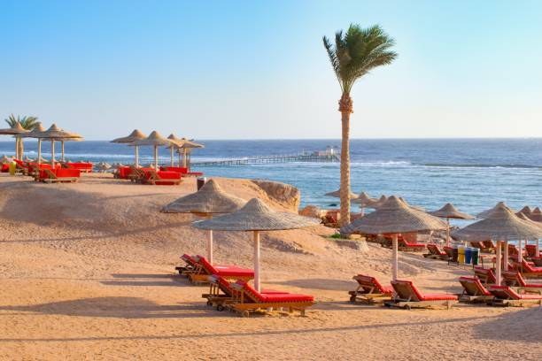 idylic beach with sun umbrelas, red sea, egypt - hurghada imagens e fotografias de stock