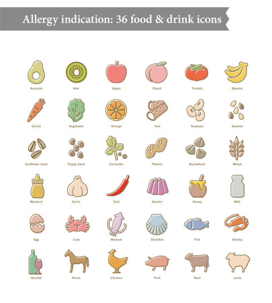 ilustrações, clipart, desenhos animados e ícones de 36 alérgenos alimentares, ícones do menu do restaurante - carrot vegetable beef food