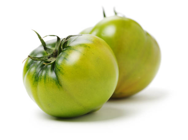 fresh green tomato