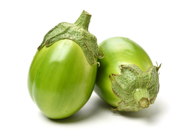 istock aubergine on white background 1193251569
