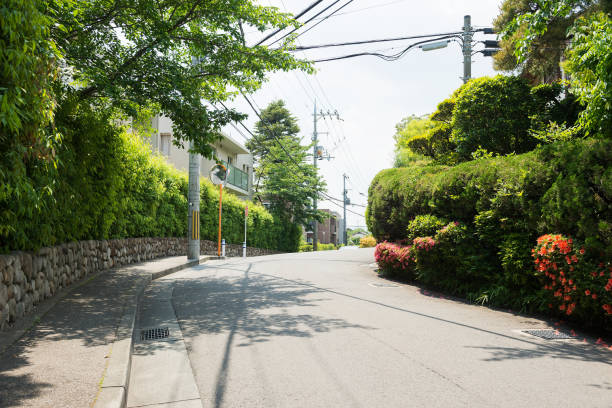 istock Hibarigaoka cityscape 1193254058