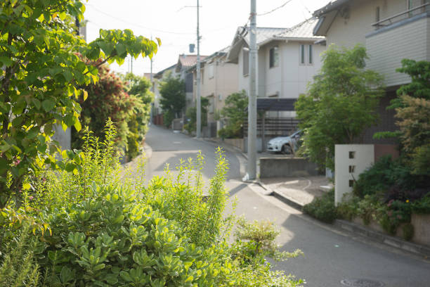 istock Hibarigaoka cityscape 1193254254