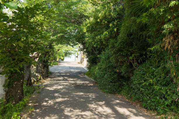istock Hibarigaoka cityscape 1193255732