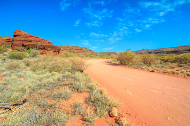 istock Sandy bed of Finke Gorge National Park 1193256961