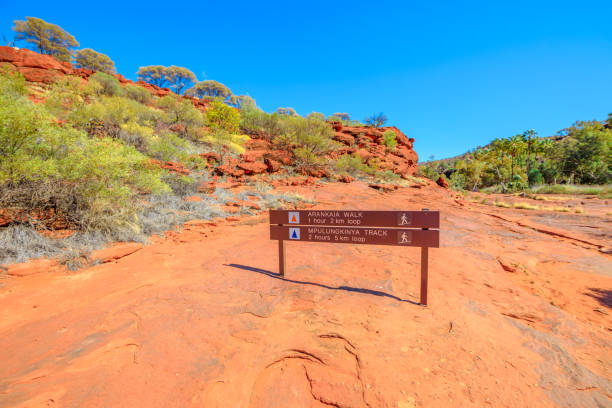 istock Arankaia Walk Palm Valley 1193256963