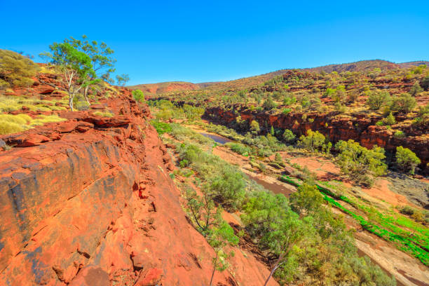 istock Palm Valley aerial view 1193256977