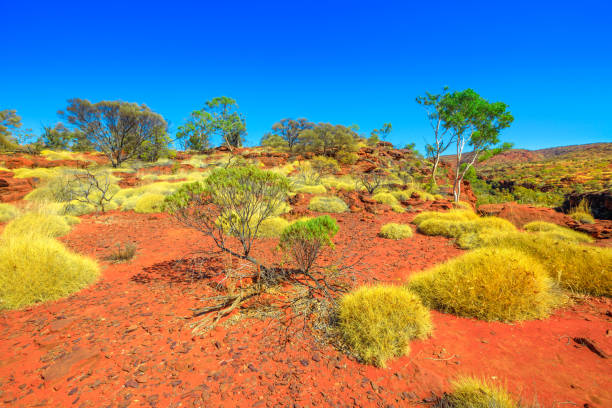 istock Finke Gorge National Park 1193256978