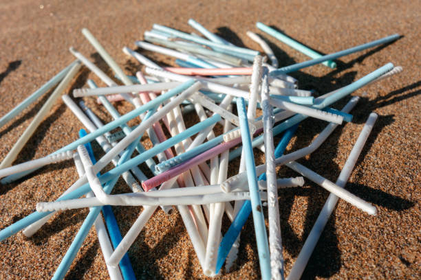 istock Lots of plastic ear sticks collected on the beach. Ocean plastic pollution concept. 1193258065