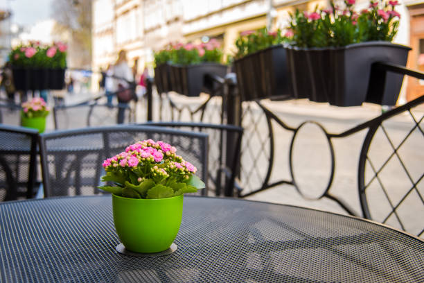 istock Street cafe/restaurant empty table with fresh flower decoration 1193262107