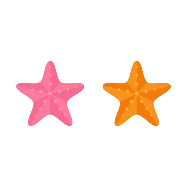 106 Two Starfish Illustrations & Clip Art - iStock | Red starfish, Rainbow, Orange starfish 106 Two Starfish Illustrations & Clip Art - iStock | Red starfish, Rainbow, Orange starfish