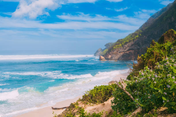istock Beautiful wild beach with turquoise ocean in Bali. 1193263709