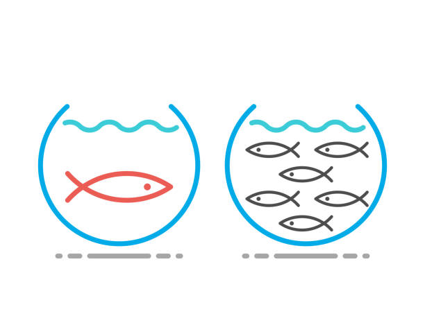 ilustrações, clipart, desenhos animados e ícones de aquário separado, peixe grande - scarcity