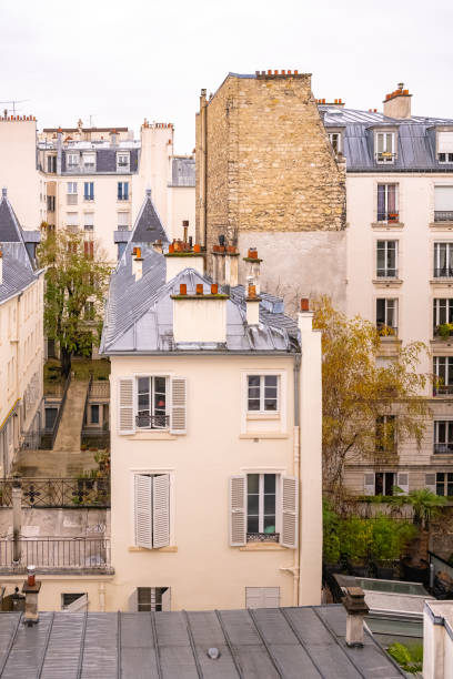 istock Paris, typical zinc roofs 1193266814