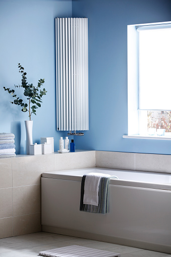 Shot of a luxury bathroom with bathtub and vertical tube radiator