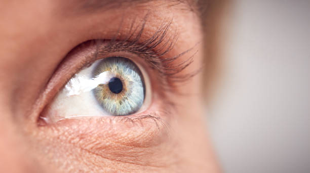 estrema close up di occhio di donna contro bianco studio sfondo - occhi azzurri foto e immagini stock