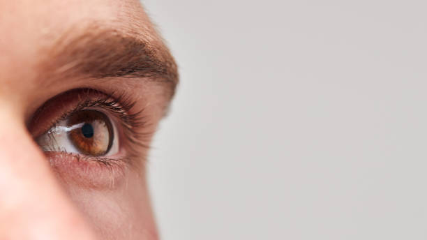 estrema close up di occhio dell'uomo contro bianco studio sfondo - brown eyes foto e immagini stock