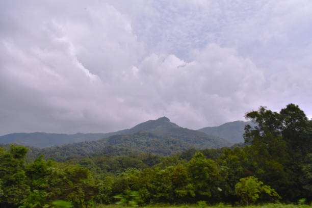 istock beautiful hill covered by forest with a cloudy sky 1193274563