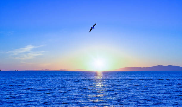 istock Seascape with sunset views over the Pacific ocean. 1193274875